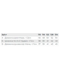 Худи и свитшоты Носи своє модель 6363-036-33-5-2-chornij-kuromi Фото