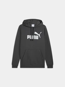 Худи и свитшоты PUMA Ess No. 1 Logo Hoodie модель 682571 Фото