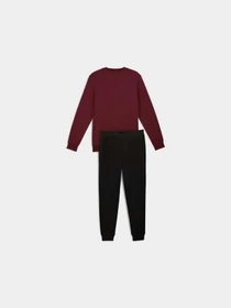 Костюмы PUMA Ess Elevated Crew Sweat Suit модель 688178 Фото