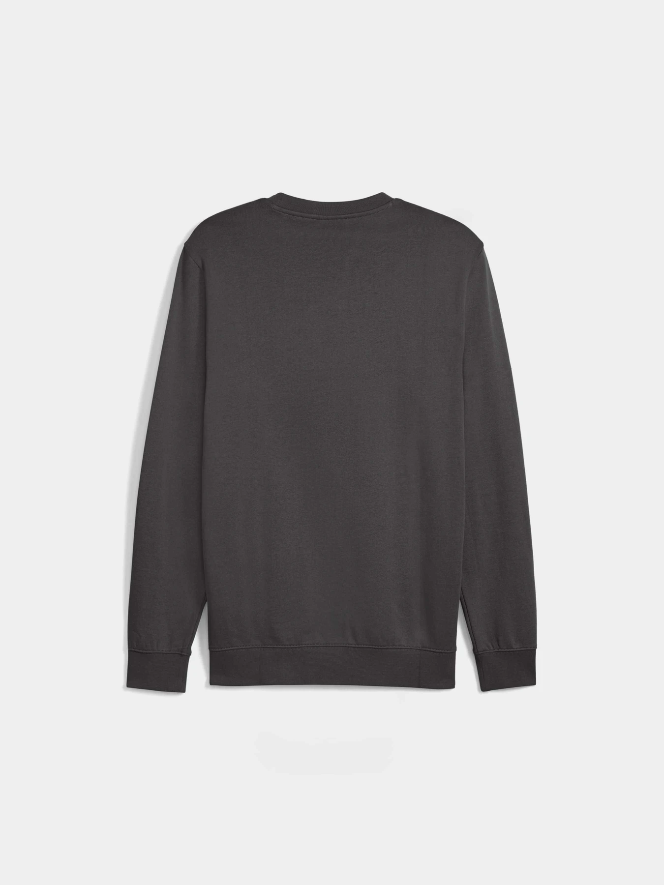 Худі та світшоти PUMA Ess Elevated Crew Fl модель 688257 Худі та світшоти PUMA Ess Elevated Crew Fl модель 688257 Фото