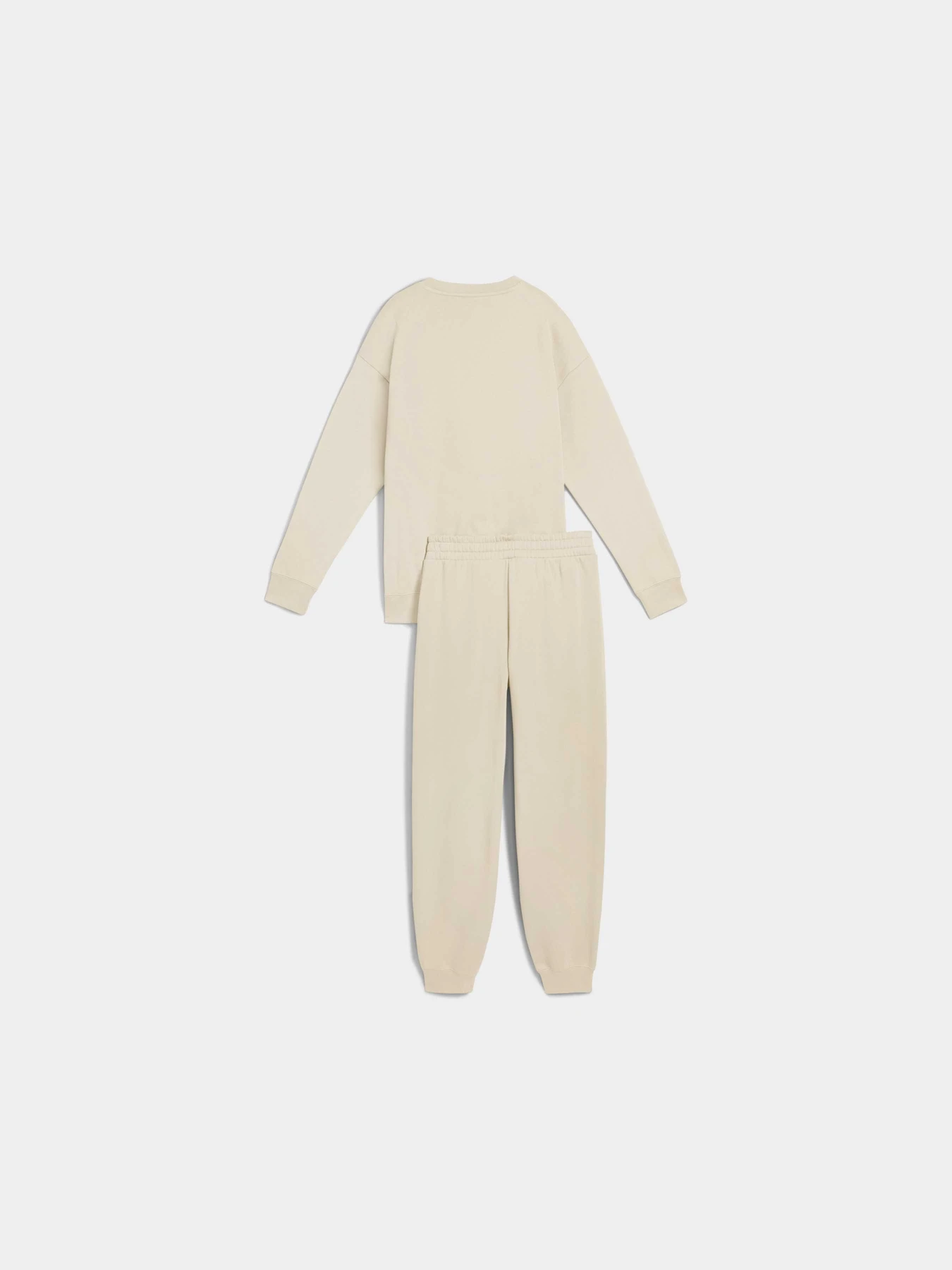 Костюмы PUMA Sweat Suit Relaxed Fl модель 688160 Костюмы PUMA Sweat Suit Relaxed Fl модель 688160 Фото
