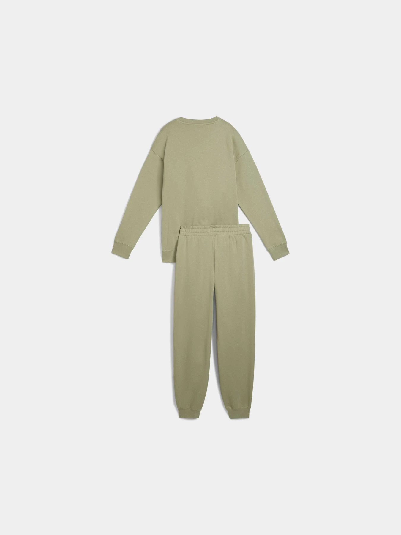 Костюмы PUMA Sweat Suit Relaxed Fl модель 688160 Костюмы PUMA Sweat Suit Relaxed Fl модель 688160 Фото