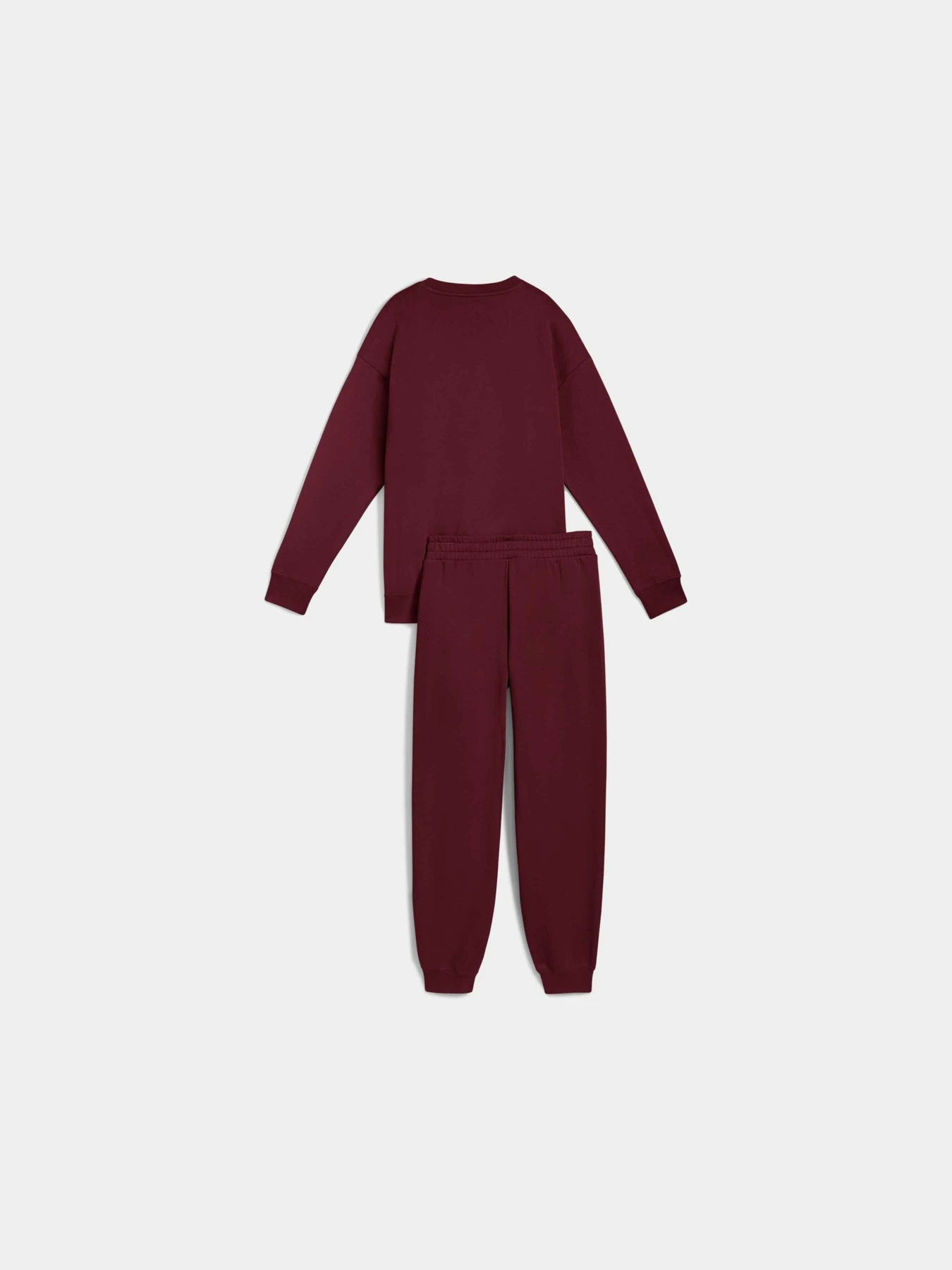 Костюмы PUMA Sweat Suit Relaxed Fl модель 688160 Костюмы PUMA Sweat Suit Relaxed Fl модель 688160 Фото