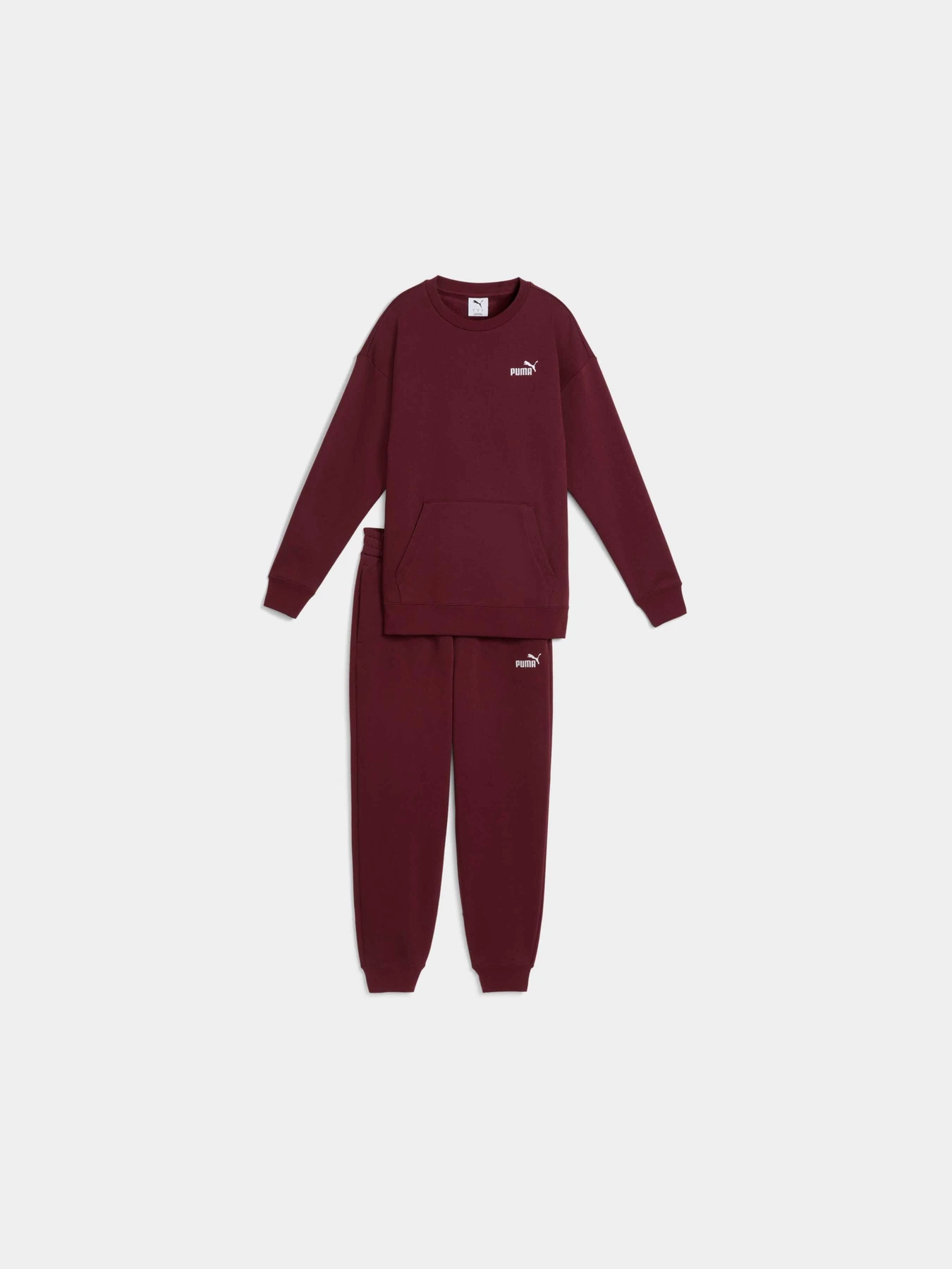 Костюмы PUMA Sweat Suit Relaxed Fl модель 688160 Костюмы PUMA Sweat Suit Relaxed Fl модель 688160 Фото