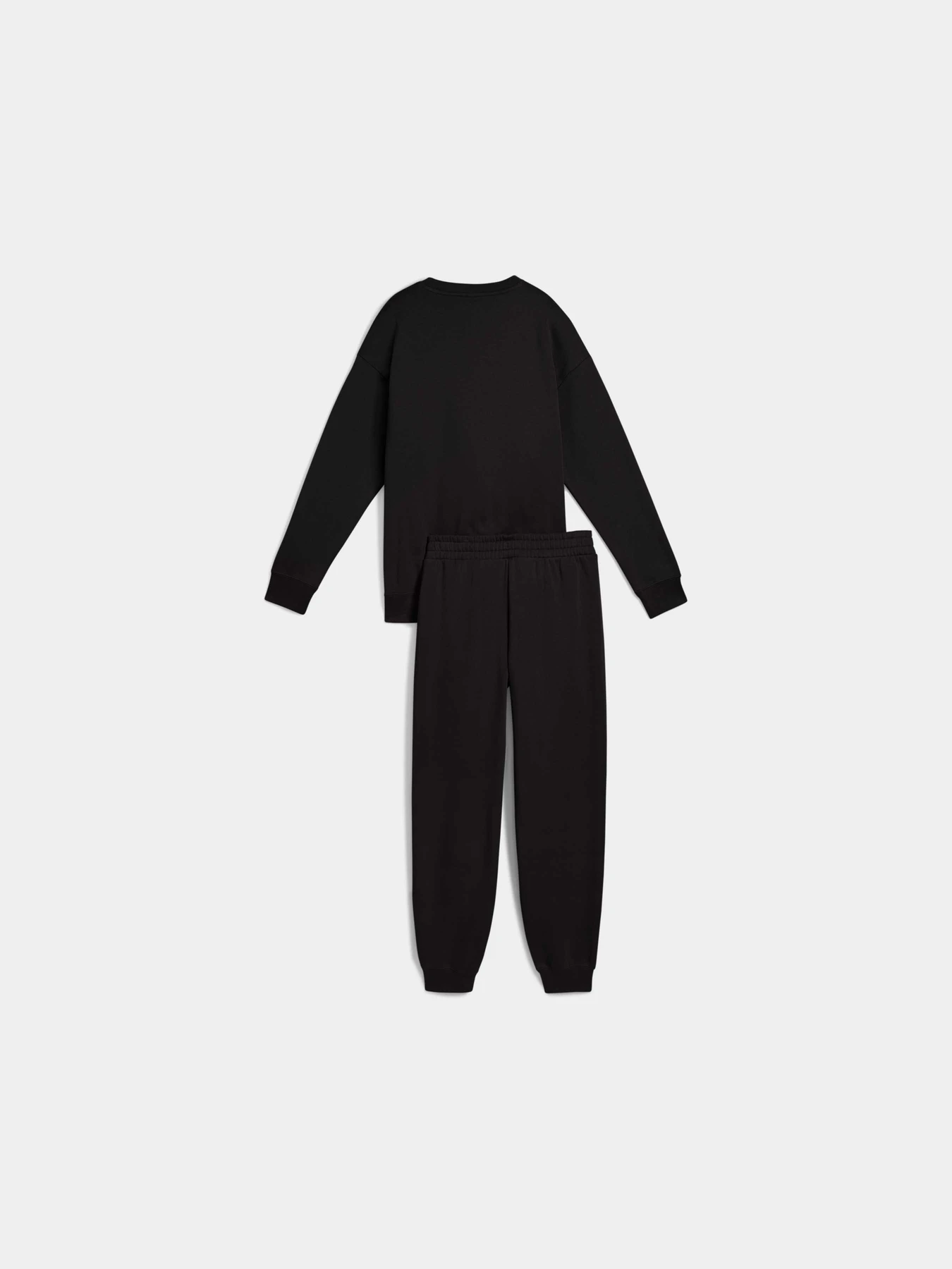 Костюмы PUMA Sweat Suit Relaxed Fl модель 688160 Костюмы PUMA Sweat Suit Relaxed Fl модель 688160 Фото