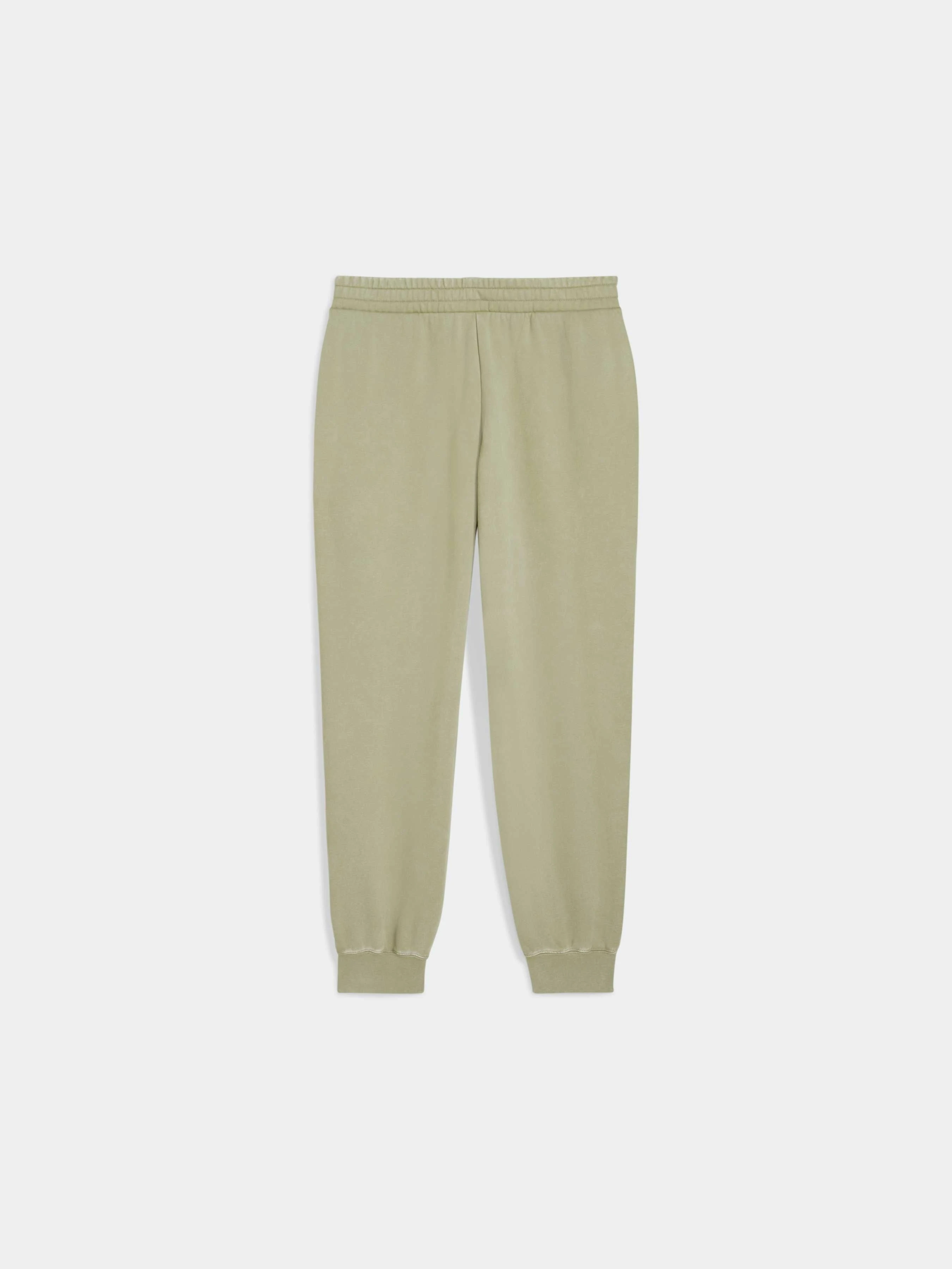 Жіночі Спортивні штани PUMA Ess Elevated Wash Sweatpants фото 2