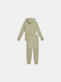 Костюмы PUMA Hooded Sweat Suit модель 688162 Фото