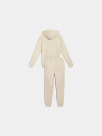 Костюмы PUMA Hooded Sweat Suit модель 688162 Фото