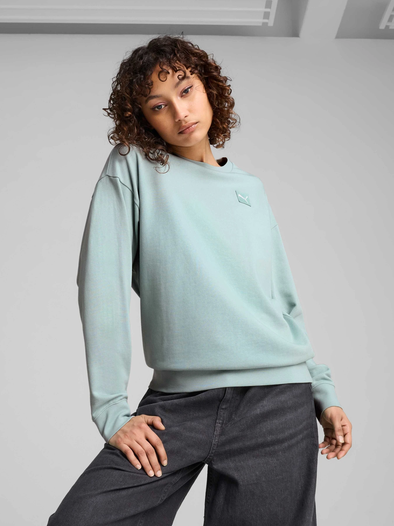 Худі та світшоти PUMA Ess Elevated Comfort Crew модель 685017 Худі та світшоти PUMA Ess Elevated Comfort Crew модель 685017 Фото