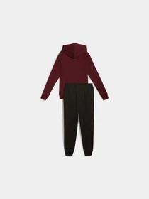 Костюмы PUMA Full-zip Hooded Sweat Suit модель 690738 Фото