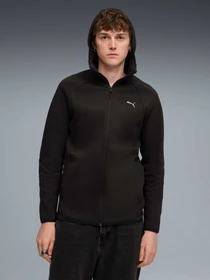 Худи и свитшоты PUMA Evostripe Fz Hoodie Dk модель 688231 Фото