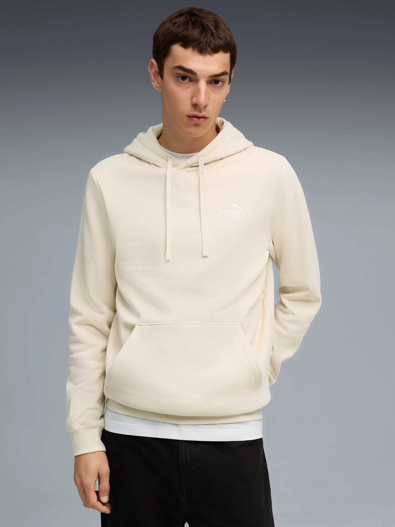 Худі та світшоти PUMA Ess Small No. 1 Logo Hoodie модель 682575 Худі та світшоти PUMA Ess Small No. 1 Logo Hoodie модель 682575 Фото