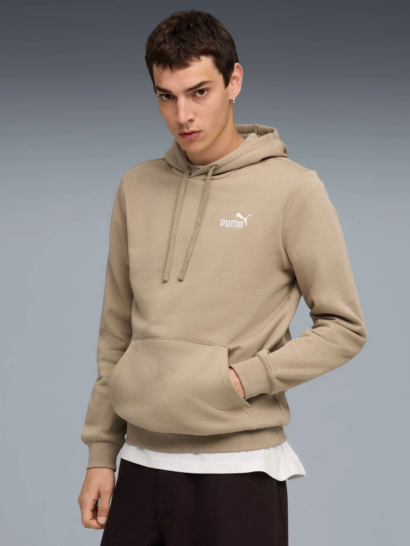 Худі та світшоти PUMA Ess Small No. 1 Logo Hoodie модель 682575 Фото