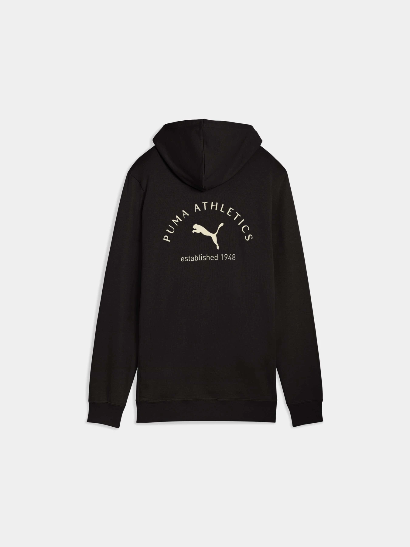 Худі та світшоти PUMA Class Graphic Hoodie модель 689095 Худі та світшоти PUMA Class Graphic Hoodie модель 689095 Фото
