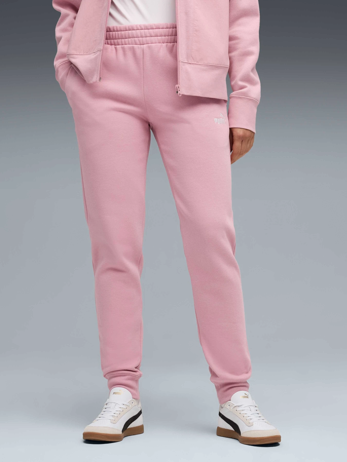 Брюки PUMA Ess No. 1 Logo Sweatpants модель 682449 Брюки PUMA Ess No. 1 Logo Sweatpants модель 682449 Фото