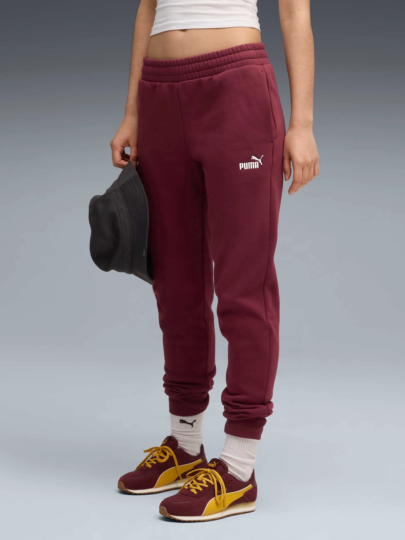 Брюки PUMA Ess No. 1 Logo Sweatpants модель 682449 Брюки PUMA Ess No. 1 Logo Sweatpants модель 682449 Фото