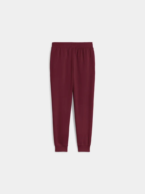 Жіночі Спортивні штани PUMA Ess No. 1 Logo Sweatpants фото 2