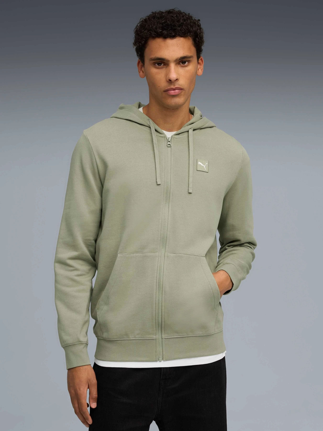 Худі та світшоти PUMA Ess Elevated Fz Hoodie Fl модель 688255 Фото