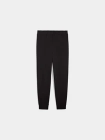 Брюки PUMA Ess Script Sweatpants модель 688074 Фото