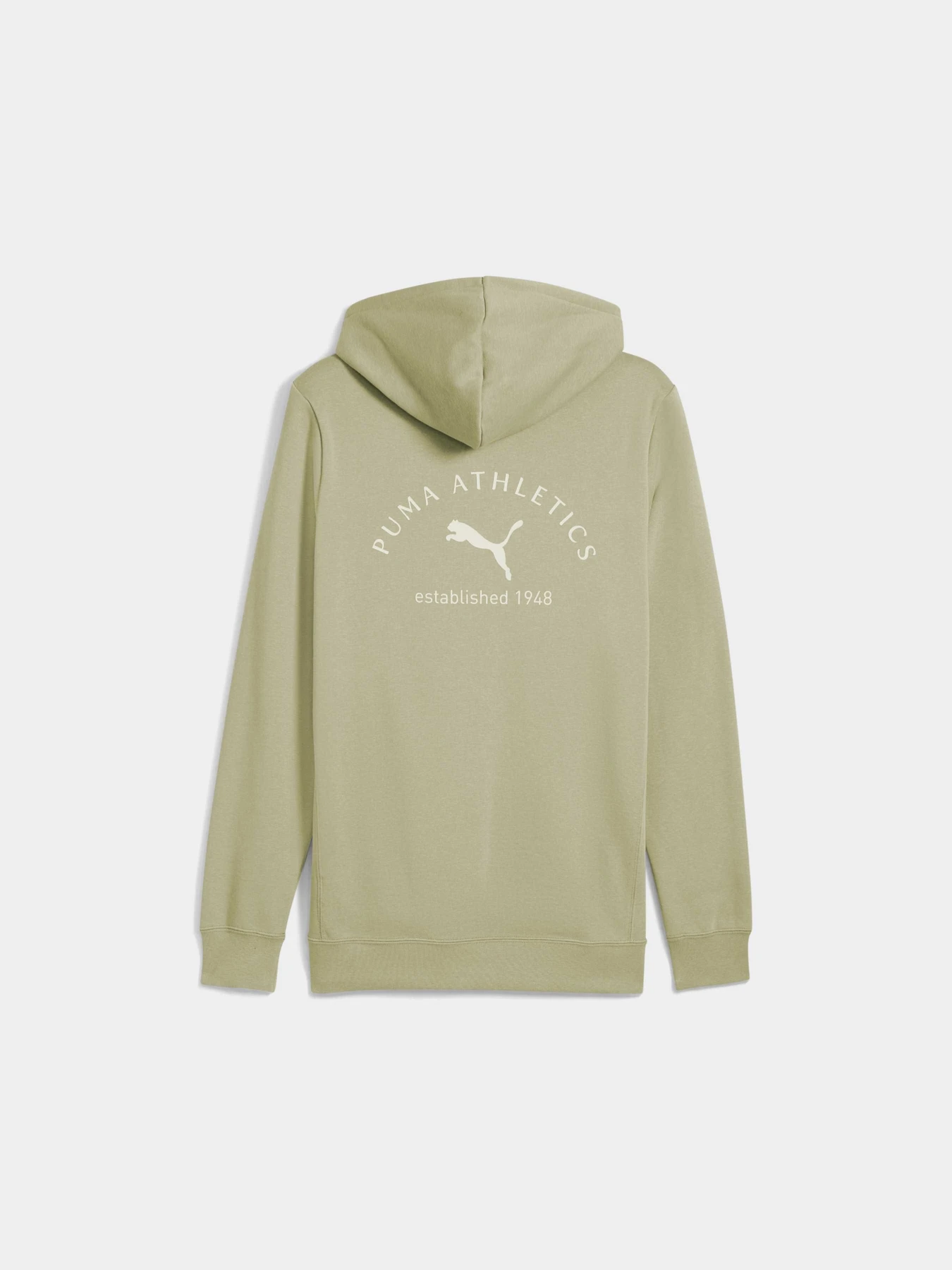 Худі та світшоти PUMA Class Graphic Hoodie Fl модель 688221 Худі та світшоти PUMA Class Graphic Hoodie Fl модель 688221 Фото