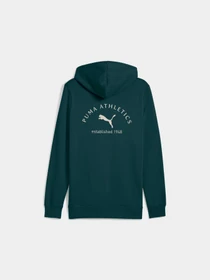 Худі та світшоти PUMA Class Graphic Hoodie Fl модель 688221 Фото