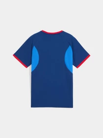 Футболки и поло PUMA Neymarjr Playmaker Jersey Jr модель 660315 Фото