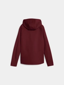 Худі та світшоти PUMA Evostripe Full-zip Hoodie модель 688141 Фото