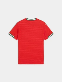 Футболки и поло PUMA Fpf Home Jersey Replica Jr модель 779193 Фото