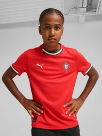 Футболки и поло PUMA Fpf Home Jersey Replica Jr модель 779193 Фото