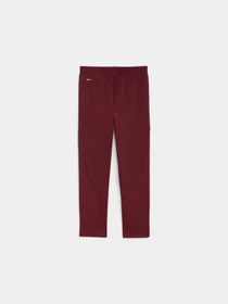 Брюки PUMA Evostripe Sweatpants модель 688143 Фото