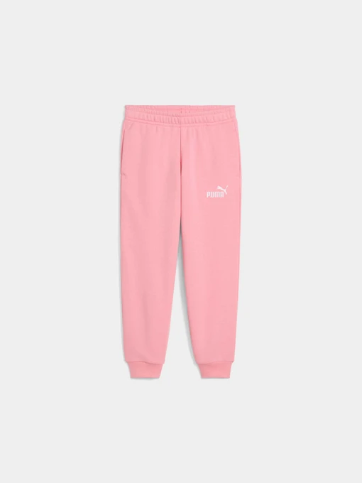 Брюки PUMA Ess Small Logo Sweatpants модель 684934 Фото