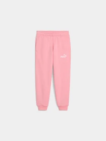 Брюки PUMA Ess Small Logo Sweatpants модель 684934 Фото