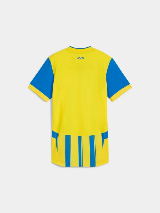 Жіноча Спортивна футболка PUMA Fcsd Third Jersey Pro W W/os фото 2