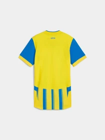 Футболки и поло PUMA Fcsd Third Jersey Pro W W/os модель 775405 Фото