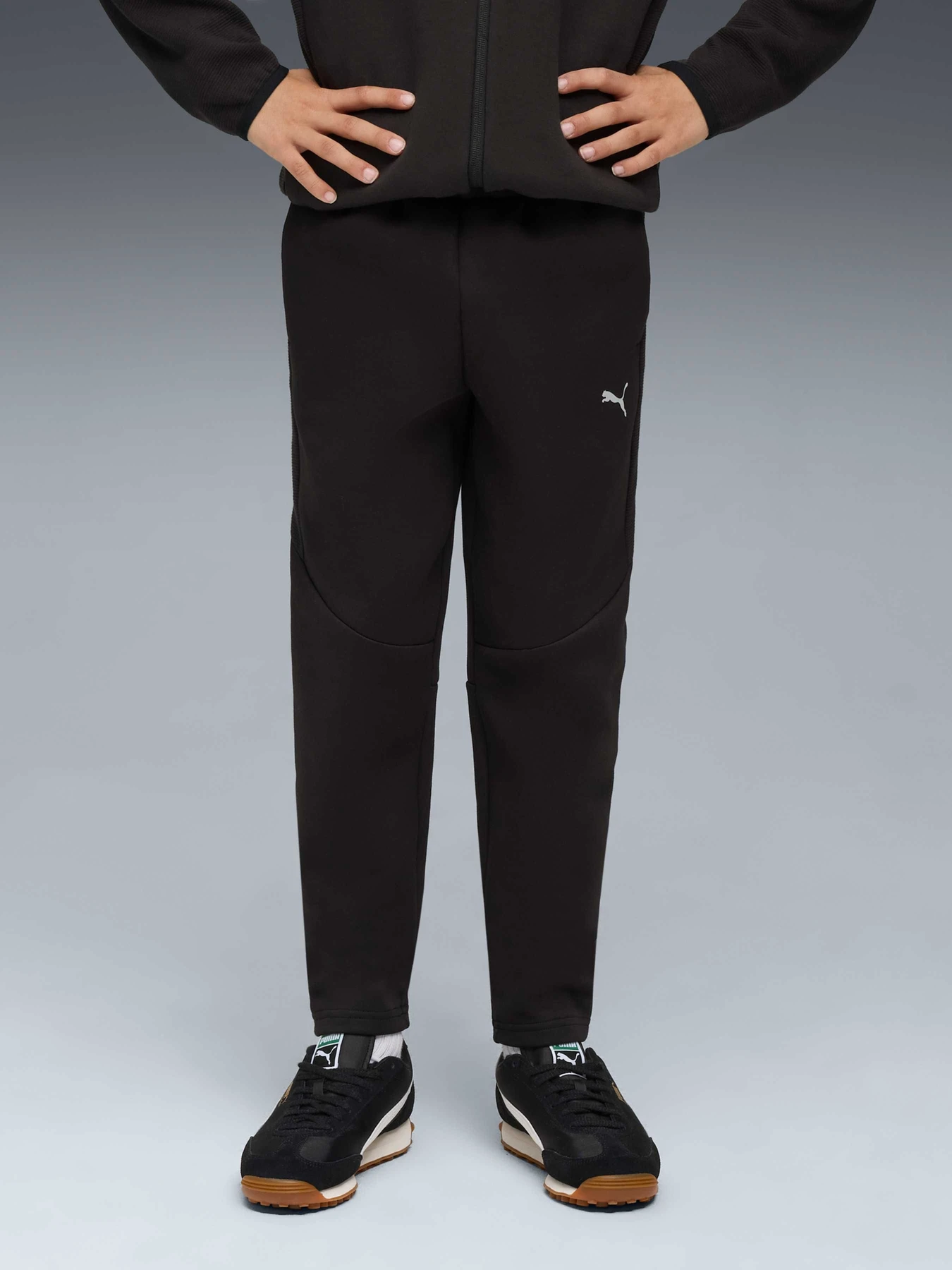 Штани PUMA Evostripe Pants Dk модель 688864 Фото