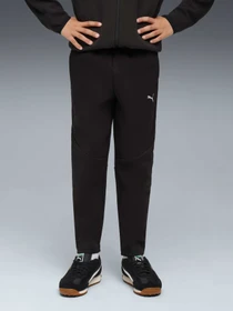 Штани PUMA Evostripe Pants Dk модель 688864 Фото