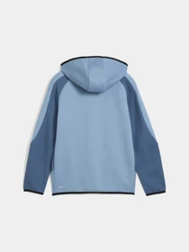 Худи и свитшоты PUMA Evostripe Full-zip Hoodie модель 688863 Фото
