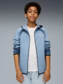 Худи и свитшоты PUMA Evostripe Full-zip Hoodie модель 688863 Фото
