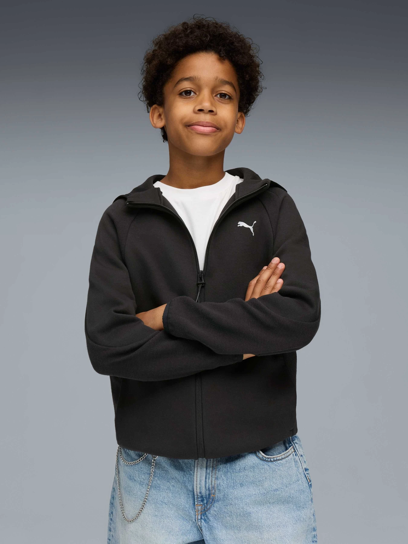 Худи и свитшоты PUMA Evostripe Full-zip Hoodie модель 688863 Фото