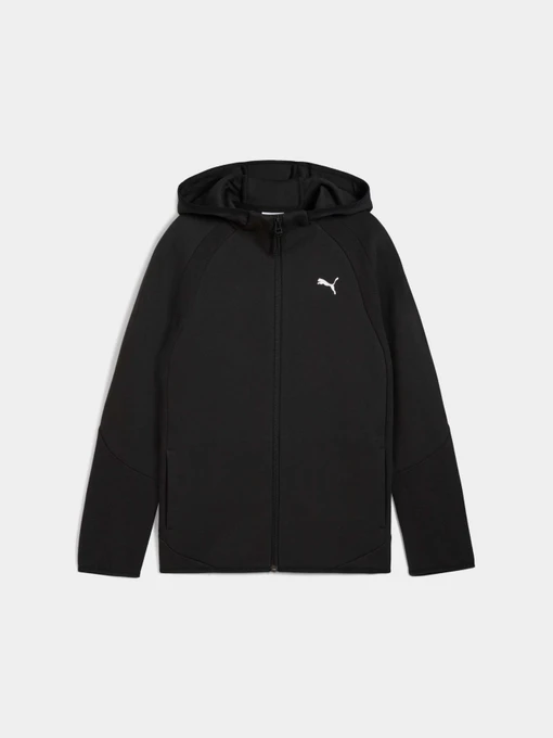 Худи и свитшоты PUMA Evostripe Full-zip Hoodie модель 688863 Фото