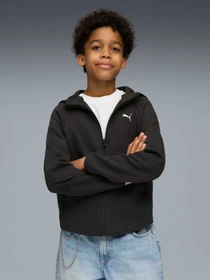 Худи и свитшоты PUMA Evostripe Full-zip Hoodie модель 688863 Фото