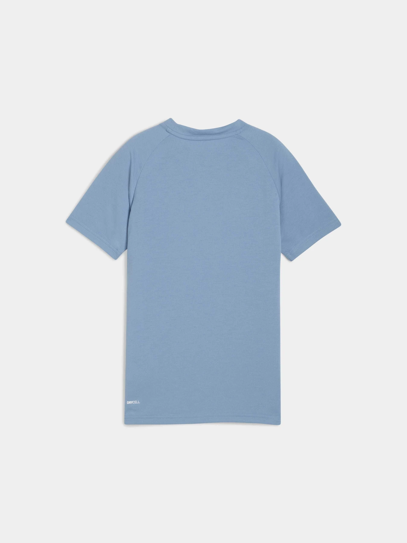 Футболки и поло PUMA Evostripe Tee модель 688862 Фото
