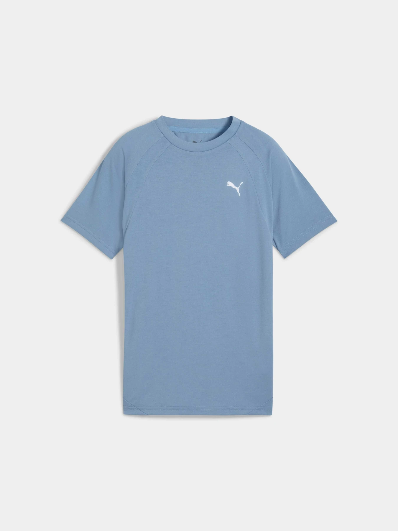 Футболки и поло PUMA Evostripe Tee модель 688862 Фото