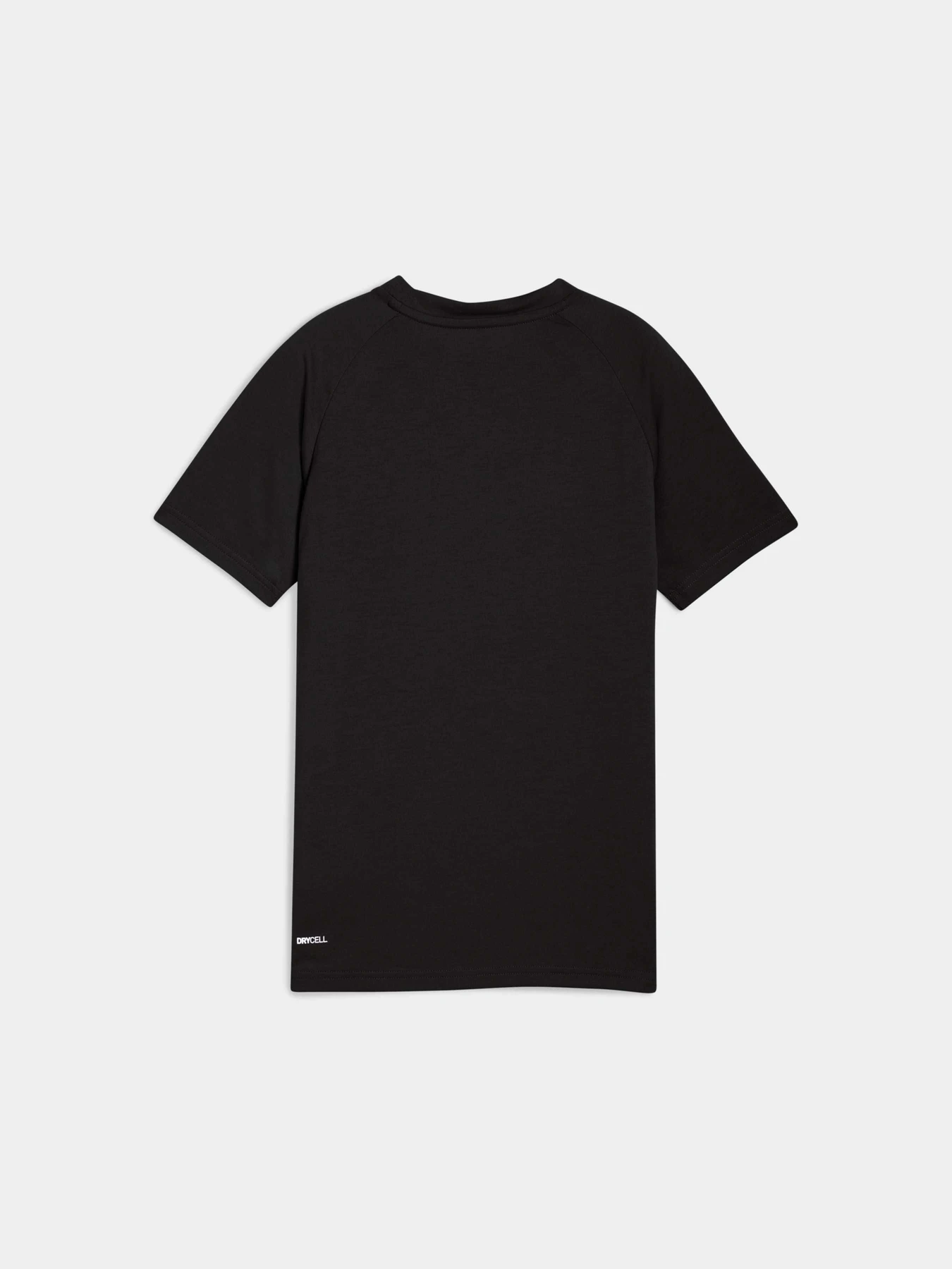 Футболки і поло PUMA Evostripe Tee модель 688862 Фото