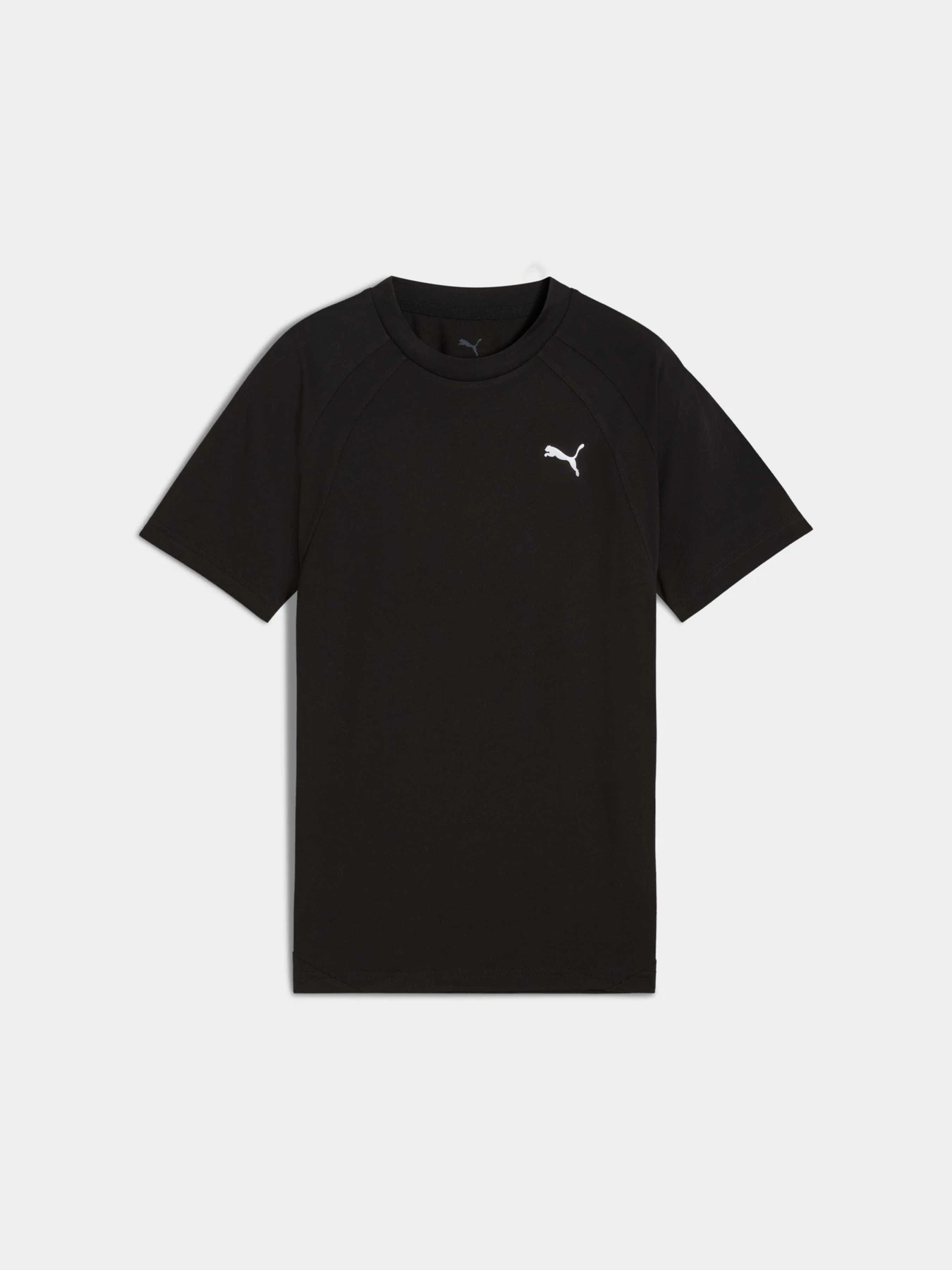 Футболки і поло PUMA Evostripe Tee модель 688862 Фото