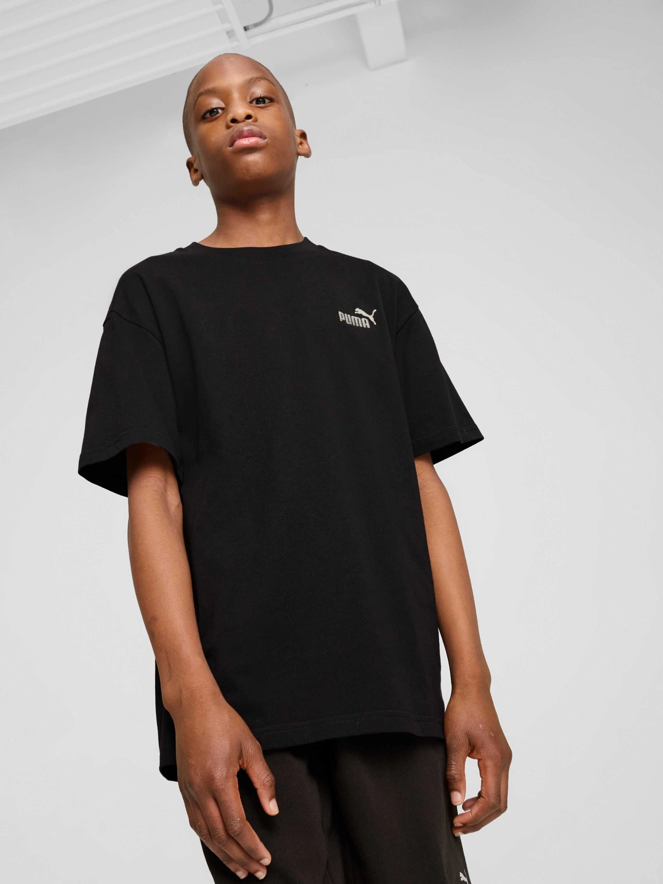 Футболки и поло PUMA Ess Small No. 1 Logo Tee модель 684920 Фото