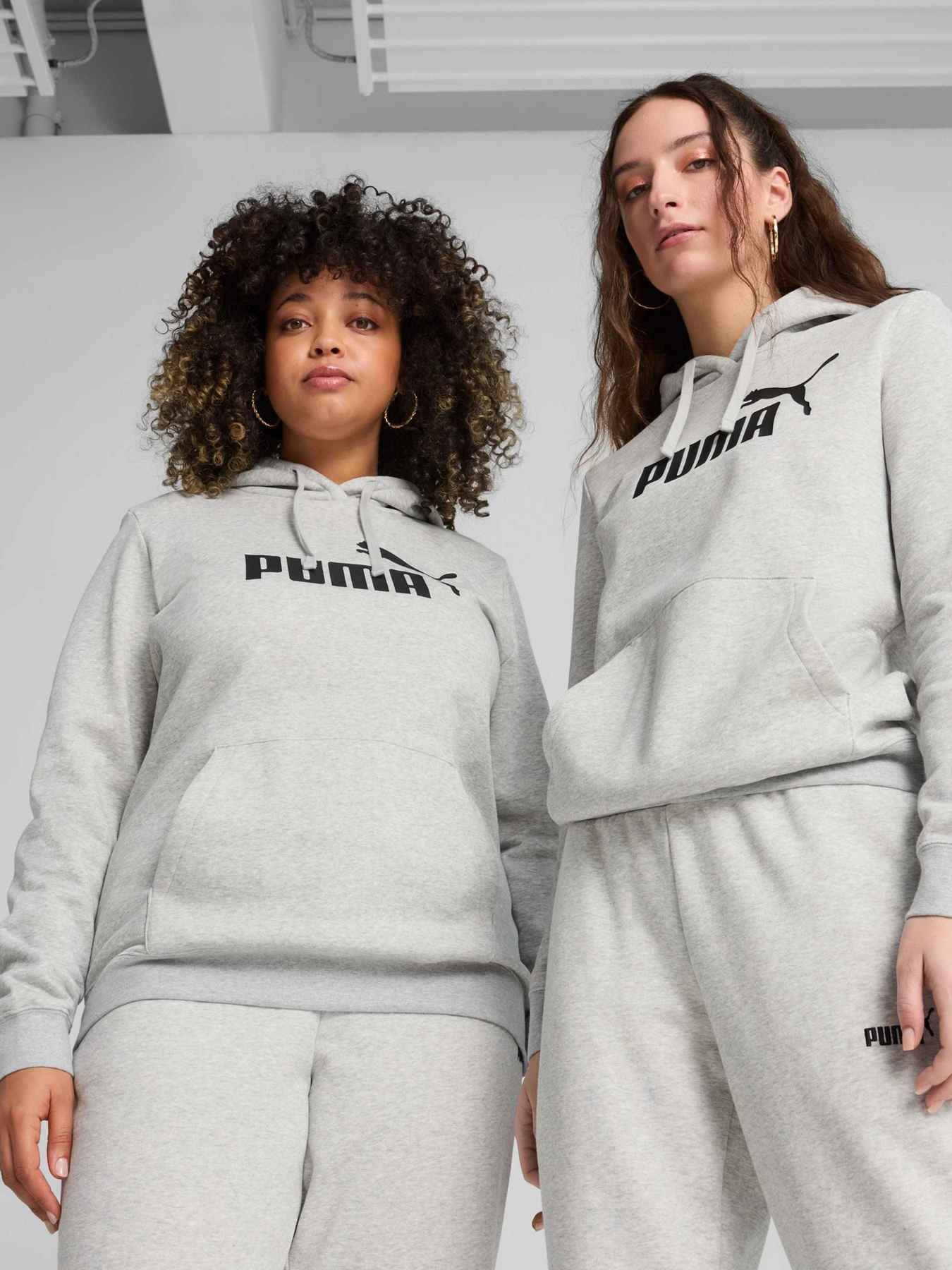 Худі та світшоти PUMA Ess No. 1 Logo Hoodie модель 682388 Фото