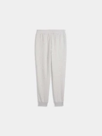 Брюки PUMA Ess No. 1 Logo Sweatpants модель 682448 Фото