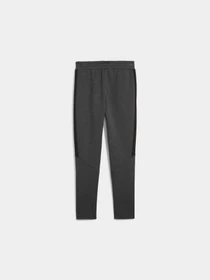Штани PUMA Evostripe Core Pants модель 631533 Фото