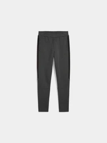 Брюки PUMA Evostripe Core Pants модель 631533 Фото